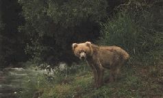 Ох, охота! - i_123.jpg