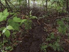 Ох, охота! - i_126.jpg