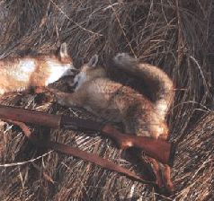 Ох, охота! - i_139.jpg