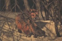 Ох, охота! - i_140.jpg