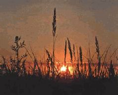 Ох, охота! - i_173.jpg