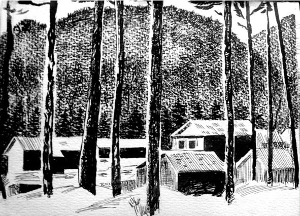 Таежный крест - image2_56aab6a7e2a0fb0500cbaf9b_jpg.jpeg