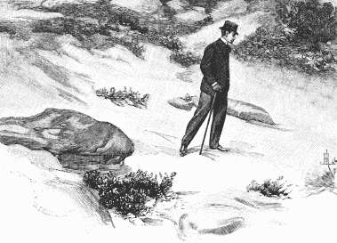 Лунный свет (сборник) - i_028.jpg