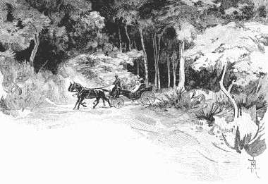 Лунный свет (сборник) - i_056.jpg