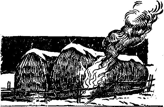 Двухмужняя<br />Рассказ - i_004.jpg