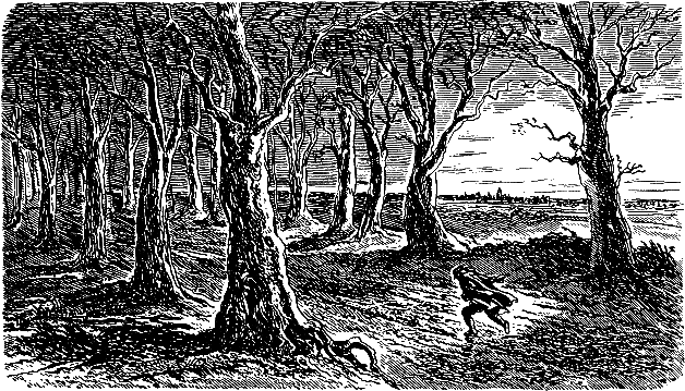 Крошка Доррит. Книга 1. Бедность - i_005.png