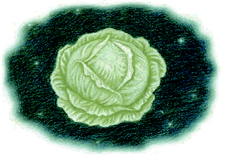 Детство сорок девять (сборник) - i_006.png