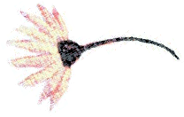 Детство сорок девять (сборник) - i_008.png