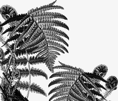 Воробьишко. Рассказы с вопросами и ответами для почемучек - _014.png