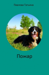 Пожар - автор Павлова Татьяна 