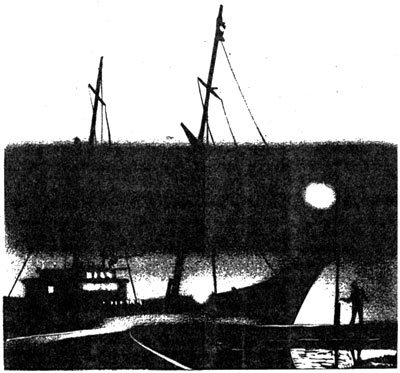 Дело опасной вдовы - i_001.jpg