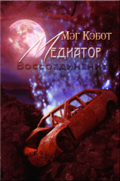 Воссоединение (ЛП) - автор Кэбот Мэг 