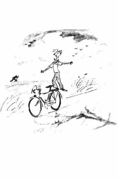 Повесть о господине Зоммере - ziisk024.jpg