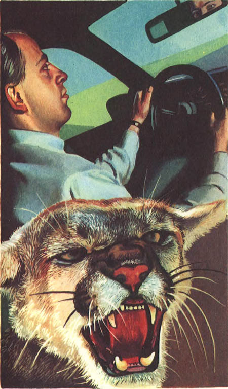 Миры Клиффорда Саймака. Книга 9 - i_007.jpg