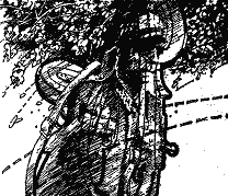 Пригоди. Подорожі. Фантастика - 88 - doc2fb_image_03000007.png