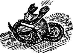 Однажды на севере - _28.jpg