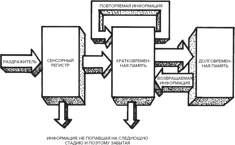 Память. Пронзительные откровения о том, как мы запоминаем и почему забываем - _2.png