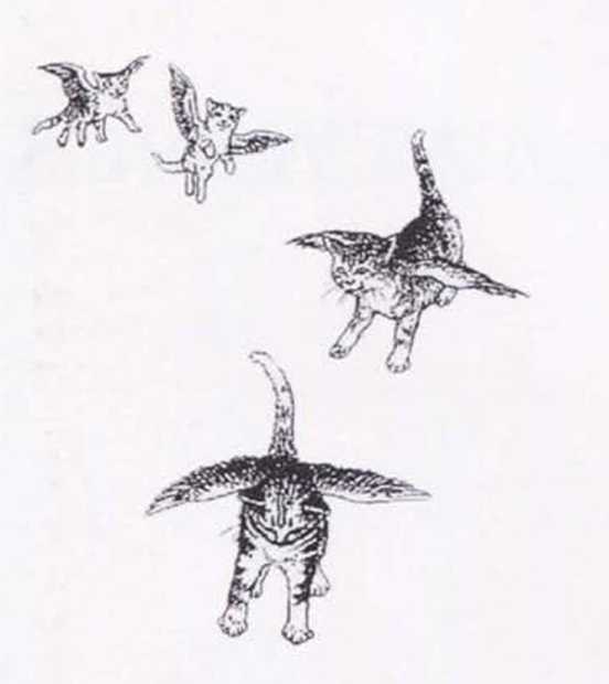 Крылатые кошки - i_001.jpg
