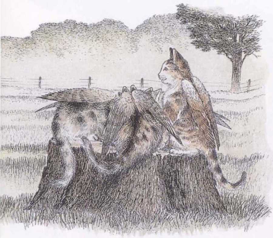 Крылатые кошки - i_024.jpg