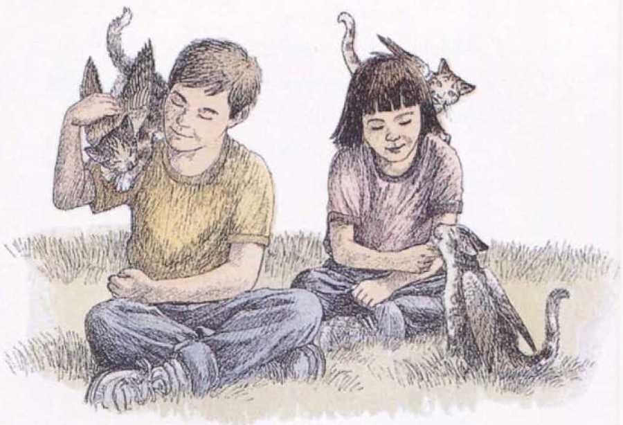 Крылатые кошки - i_026.jpg