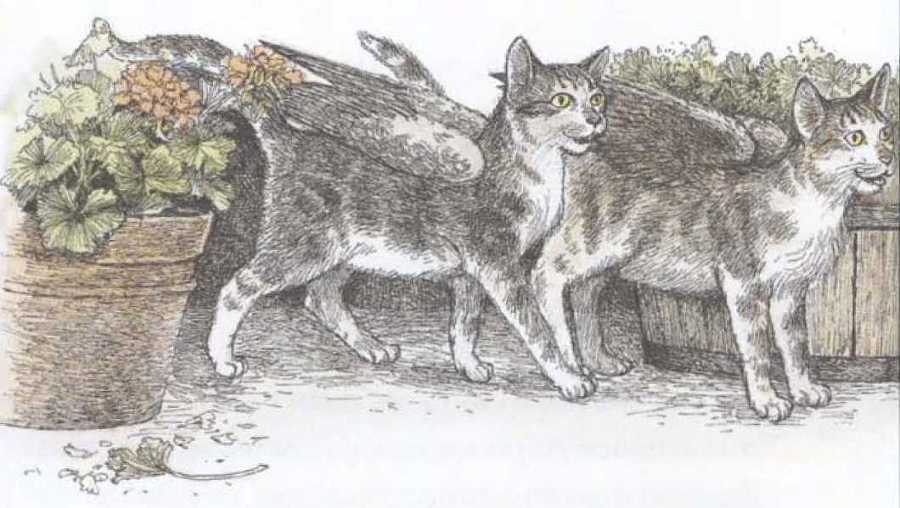 Крылатые кошки возвращаются - i_016.jpg