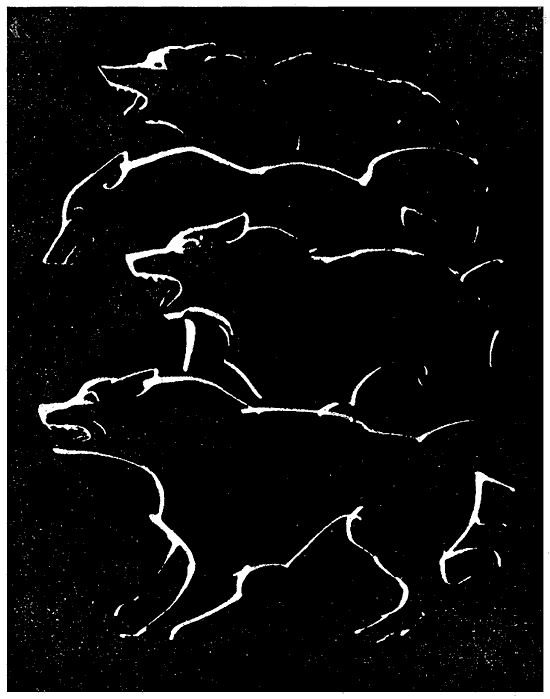 Искатель. 1971. Выпуск №1 - i_007.png