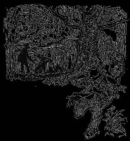 Пригоди Тома Сойєра - _12.jpg