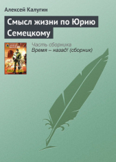 Смысл жизни по Юрию Семецкому - автор Калугин Алексей 