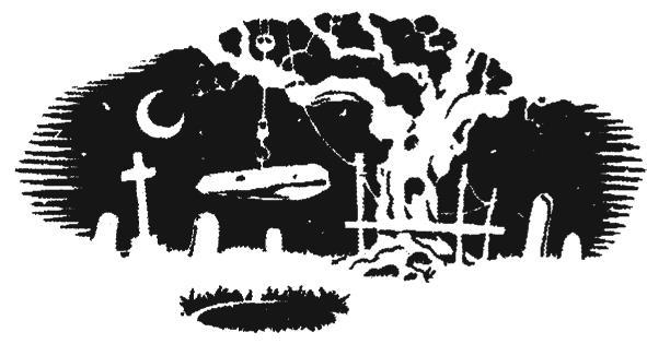 Проклятие Ведьмака - i_002.jpg