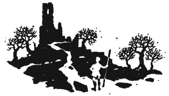 Проклятие Ведьмака - i_004.jpg