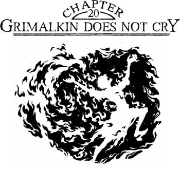 Я Грималкин (ЛП) - img_26.jpeg