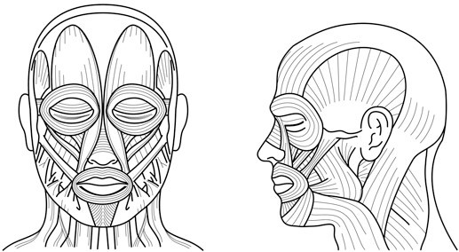 Как рождаются эмоции. Революция в понимании мозга и управлении эмоциями - i_001.jpg
