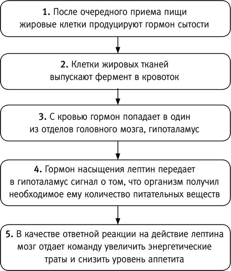 Вальс гормонов: вес, сон, секс, красота и здоровье как по нотам - i_003.png