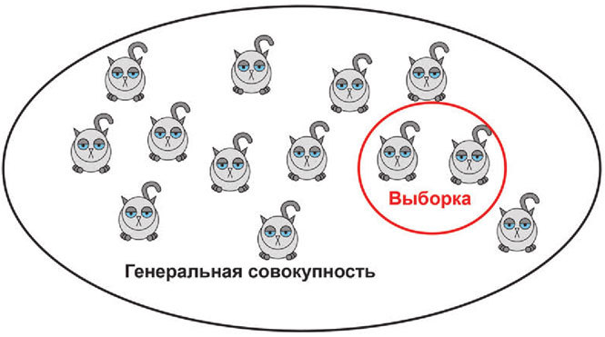 Статистика и котики - i_014.jpg