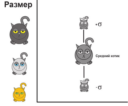 Статистика и котики - i_022.jpg