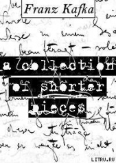 Маленькие рассказы - автор Кафка Франц 