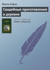 Свадебные приготовления в деревне - автор Кафка Франц 