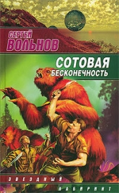 Сотовая бесконечность - автор Вольнов Сергей 