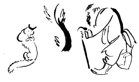 Архангельские новеллы - _178.jpeg_0