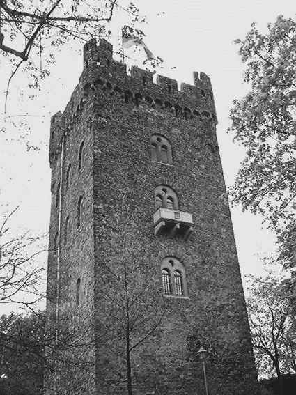 Кёльн и замки Рейна - i_016.jpg