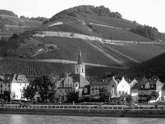 Кёльн и замки Рейна - i_025.jpg