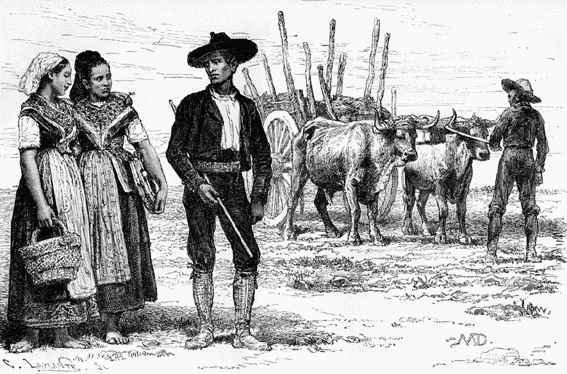 Мадрид и Толедо - i_022.jpg