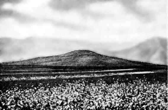 Пекин и Великая Китайская стена - i_018.jpg