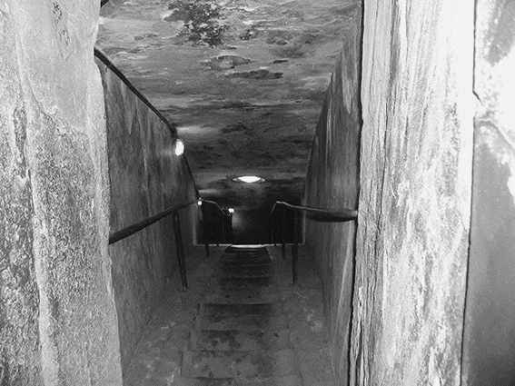 Флоренция и Генуя - i_034.jpg