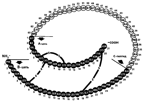Настольная книга диабетика - i_007.png