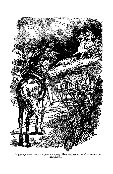 Отважная охотница - i_007.png