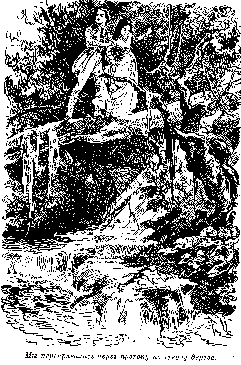 Собрание сочинений, том 1. Белый вождь. Квартеронка. - i_049.png