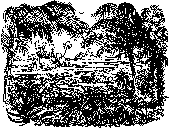 Собрание сочинений, том 2. Оцеола, вождь семинолов. Морской волчонок - i_007.png