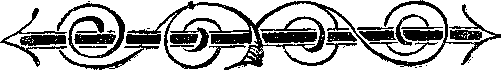 Собрание сочинений, том 2. Оцеола, вождь семинолов. Морской волчонок - i_032.png