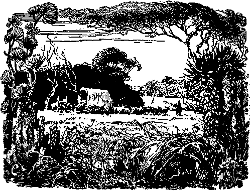 Собрание сочинений, том 4. В дебрях Южной Африки. Юные охотники. Охотники за жирафами. - i_006.png